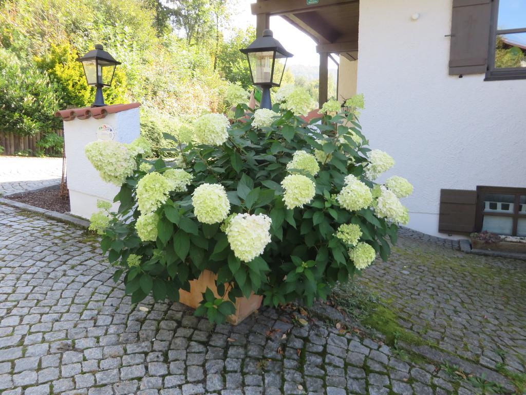 Hittenpichl Bodenmais Exterior photo